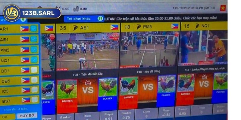 Đá Gà 123b: Sàn Đấu Gà Trực Tuyến Uy Tín Nhất Việt Nam 2 Đá Gà 123b