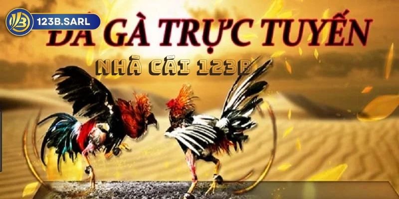 Đá Gà 123b: Sàn Đấu Gà Trực Tuyến Uy Tín Nhất Việt Nam 1 Đá Gà 123b